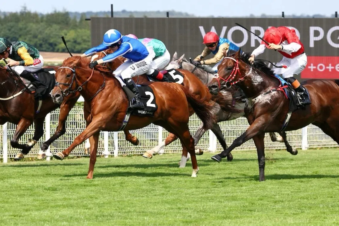 Lake Forest targets Haydock Sprint Cup if track conditions prove favourable