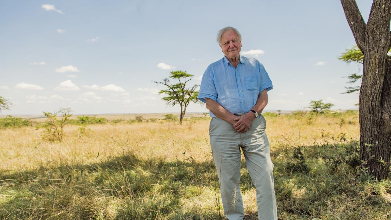 Attenborough reflects on humanity's nature and environmental responsibility