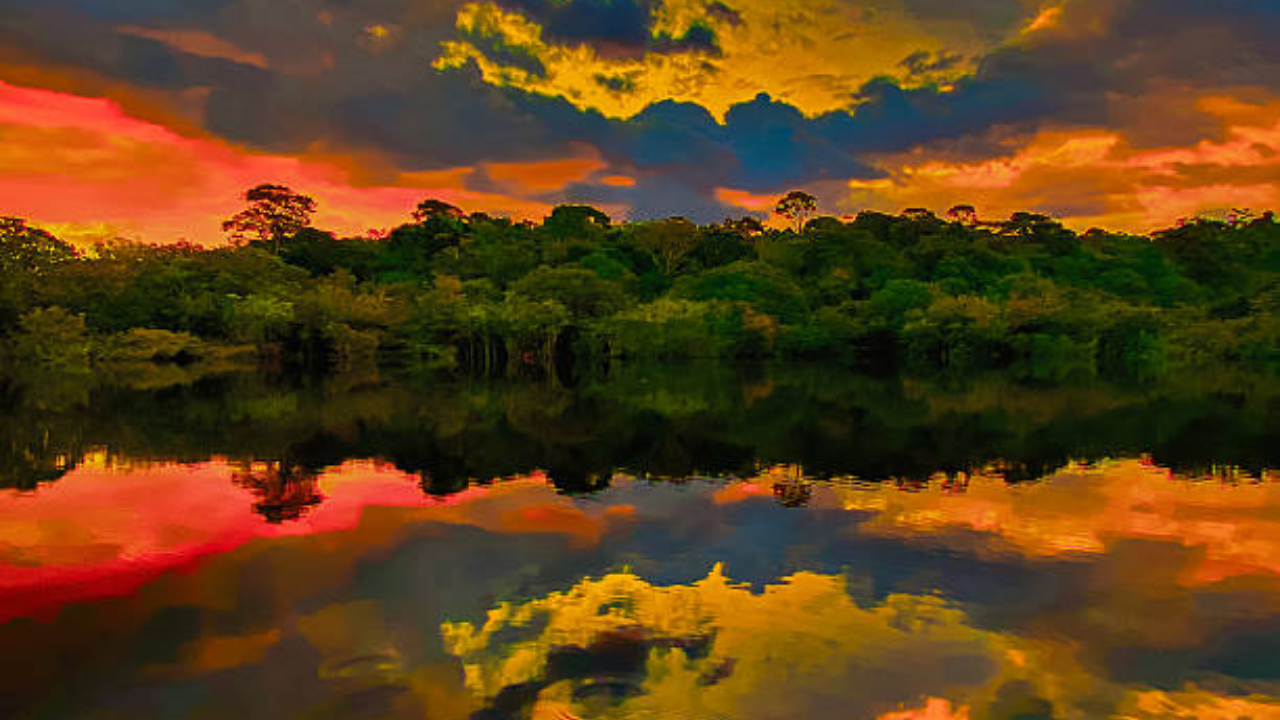 Ford's Amazon Dream: How Industrial Vision Failed in Rainforest