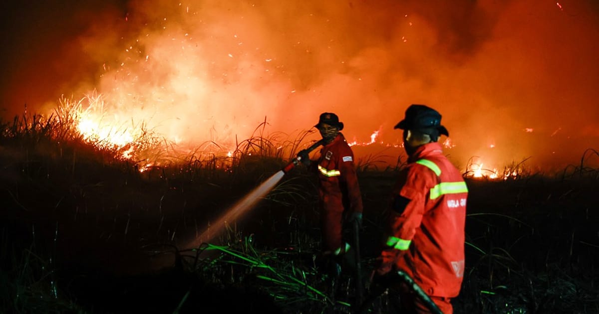 Kebakaran Indonesia: Kebanyakan di luar konsesi milik Malaysia, kata Fahmi