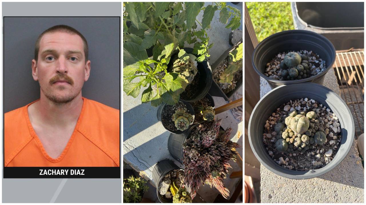 Florida man arrested for selling hallucinogenic plants via Facebook