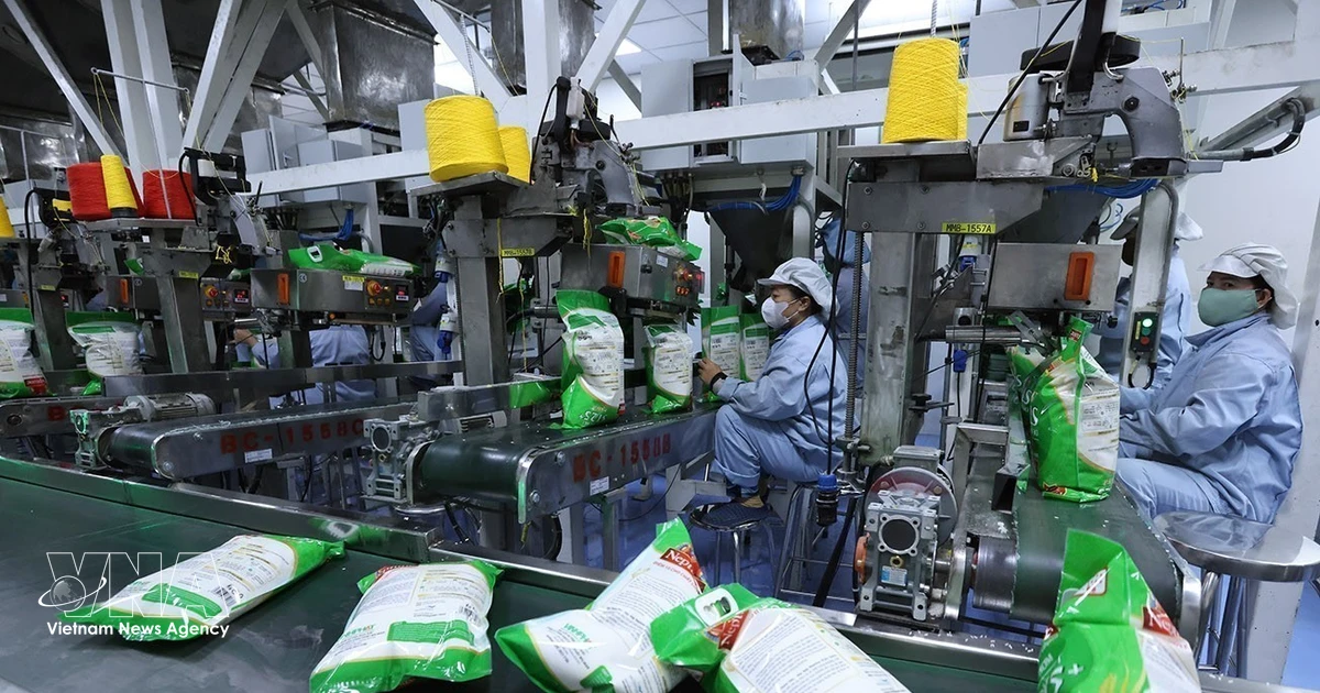 Vietnam Rice Exports Surge Past $3.1 Billion Despite Price Pressures