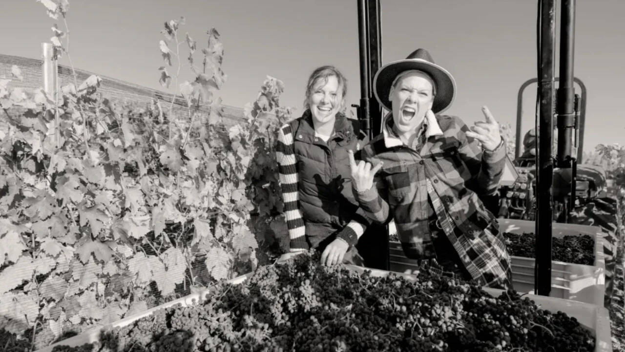 Pop star Pink transforms California ranch into organic wine venture