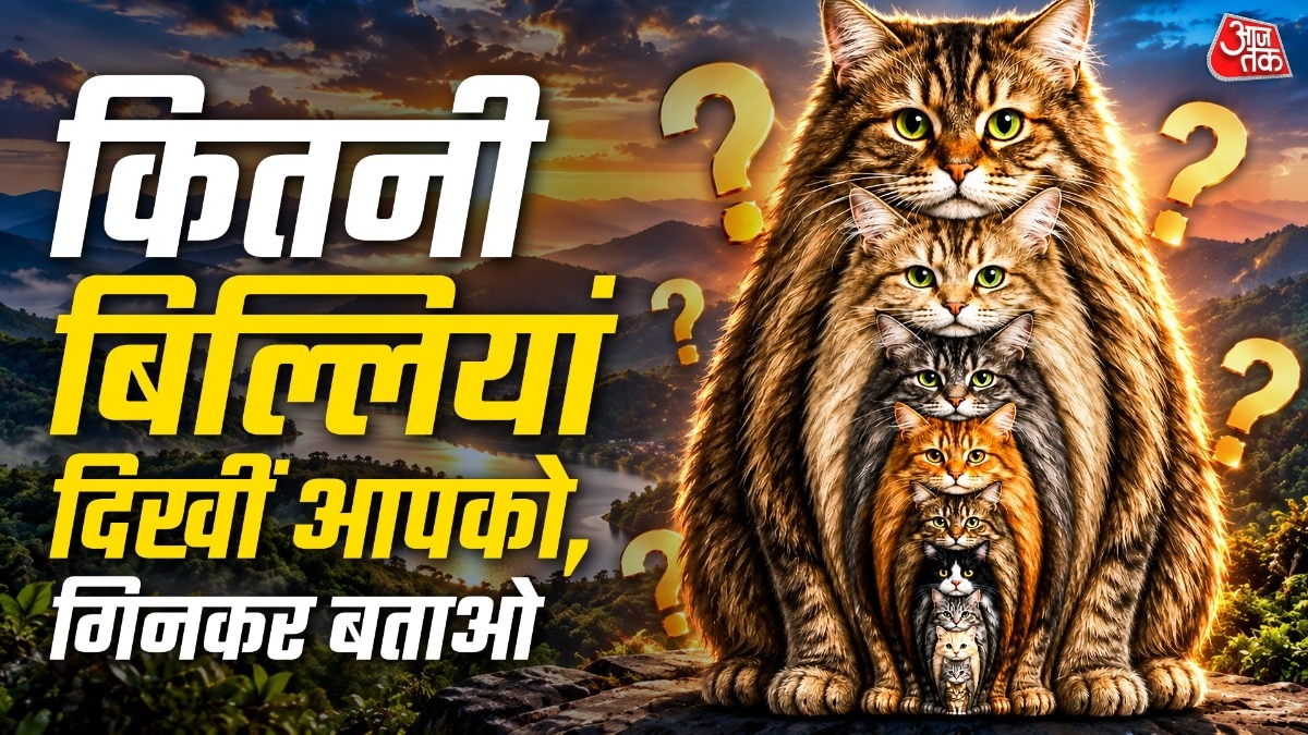 Viral Optical Illusion Challenges Viewers to Count Hidden Cats
