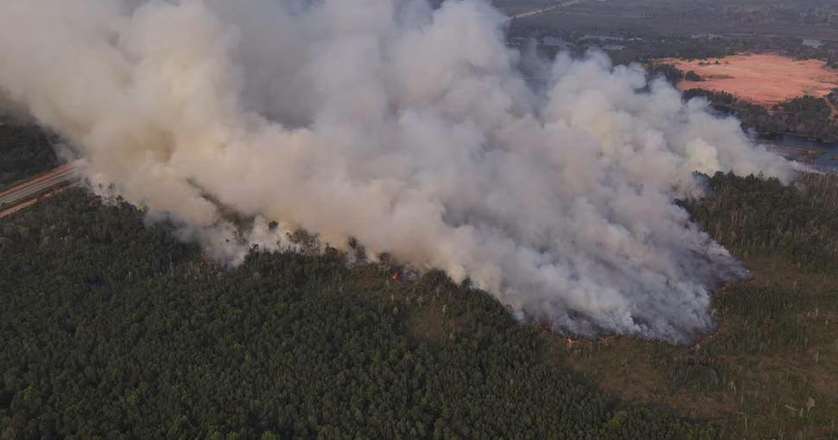 Peatland fire spreads in Pengerang as firefighting operations intensify