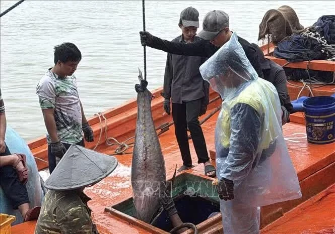 Dak Lak boat owners upgrade fleets to meet anti-IUU fishing standards