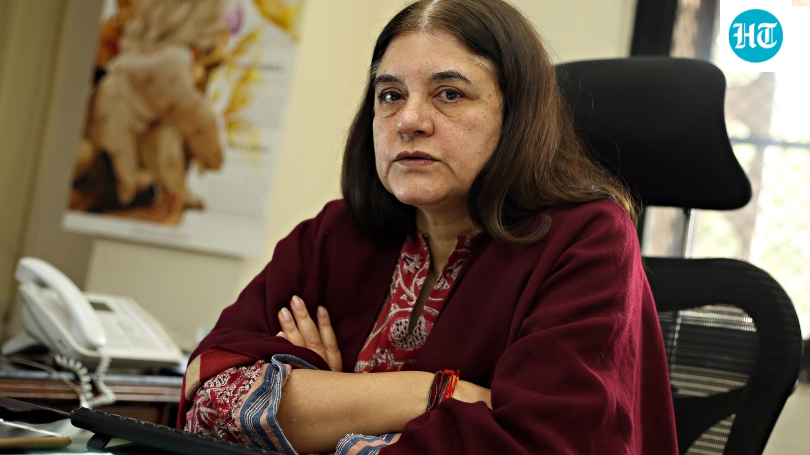 India's animal testing rules must advance nation, not regress: Gandhi