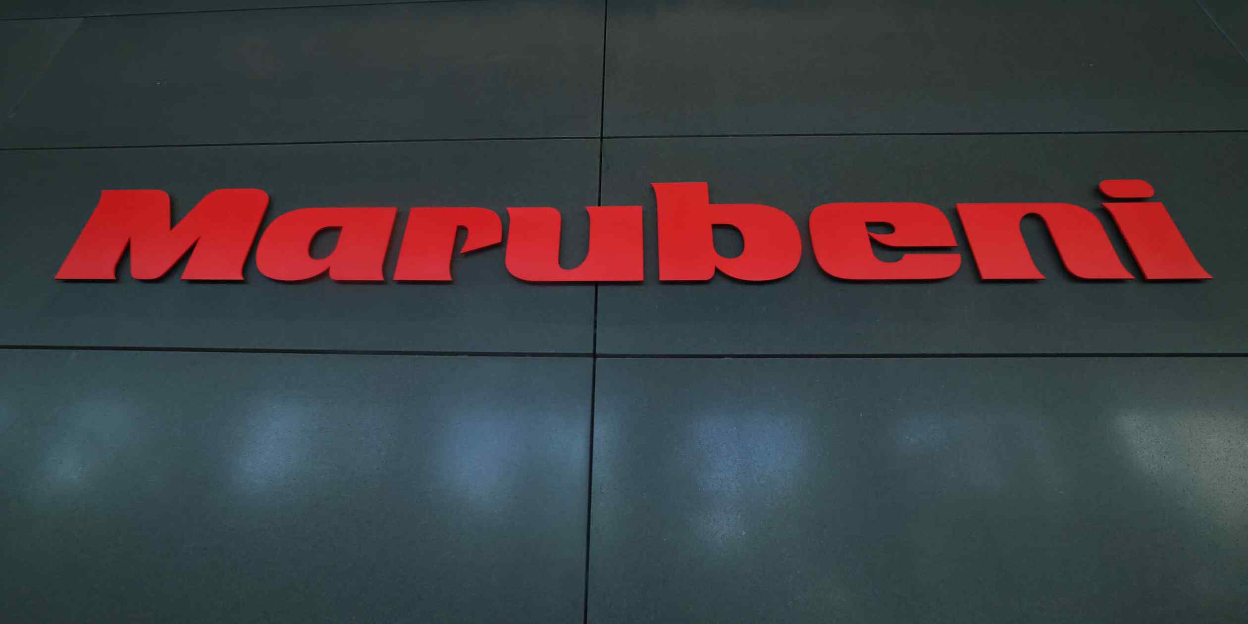 Marubeni seeks to capitalize on AI infrastructure supply chain gaps