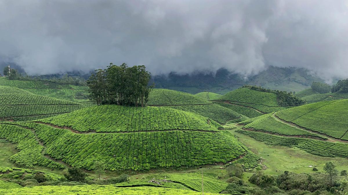 केरल के पहाड़ी पर्यटन स्थलों की क्षमता अध्ययन अधूरा, सरकार ने दी मंजूरी