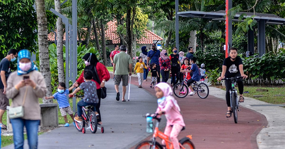 Malaysia must build cognitive fitness from school age, consultant says
