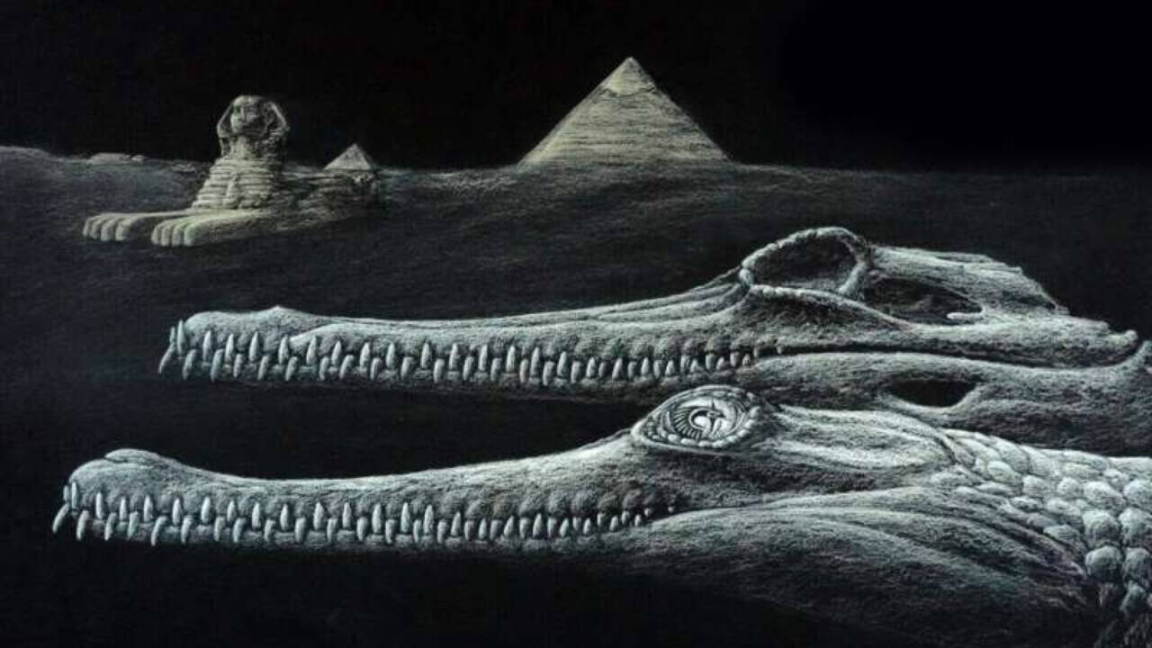 Scientists unearth remains of previously unknown extinct crocodile species