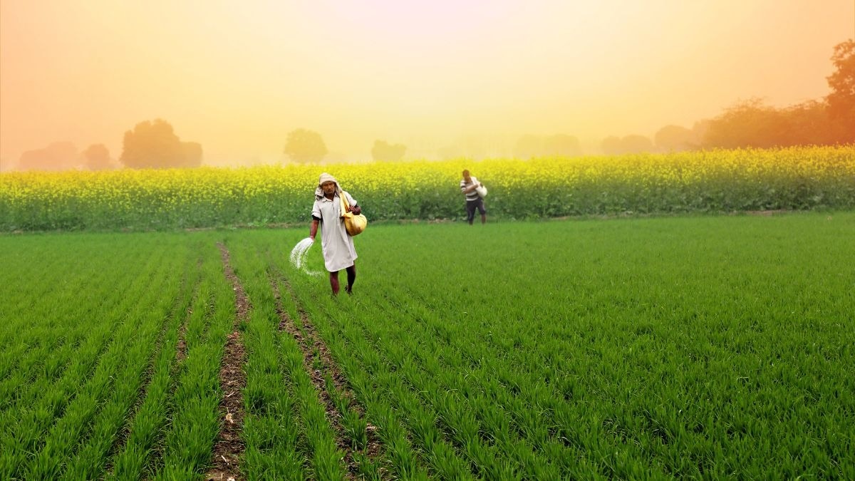 Government subsidises urea heavily to keep farmers' costs down: Sitharaman