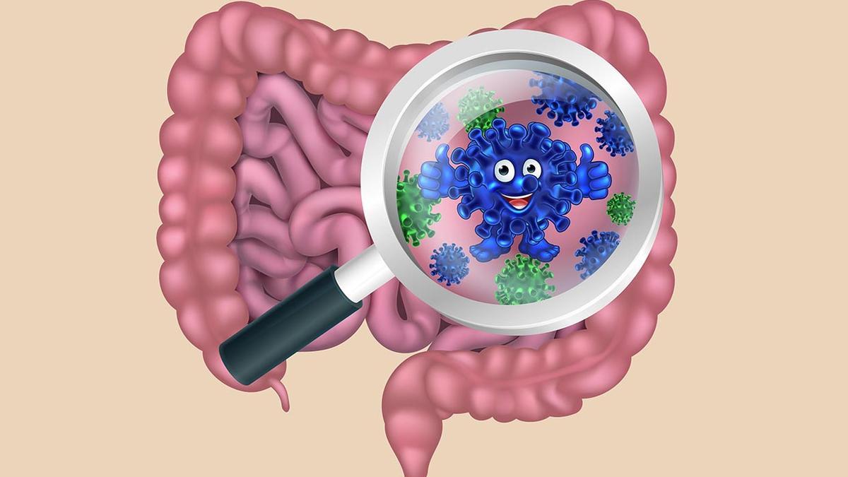 Kerala researchers uncover gut bacteria link to Parkinson's disease