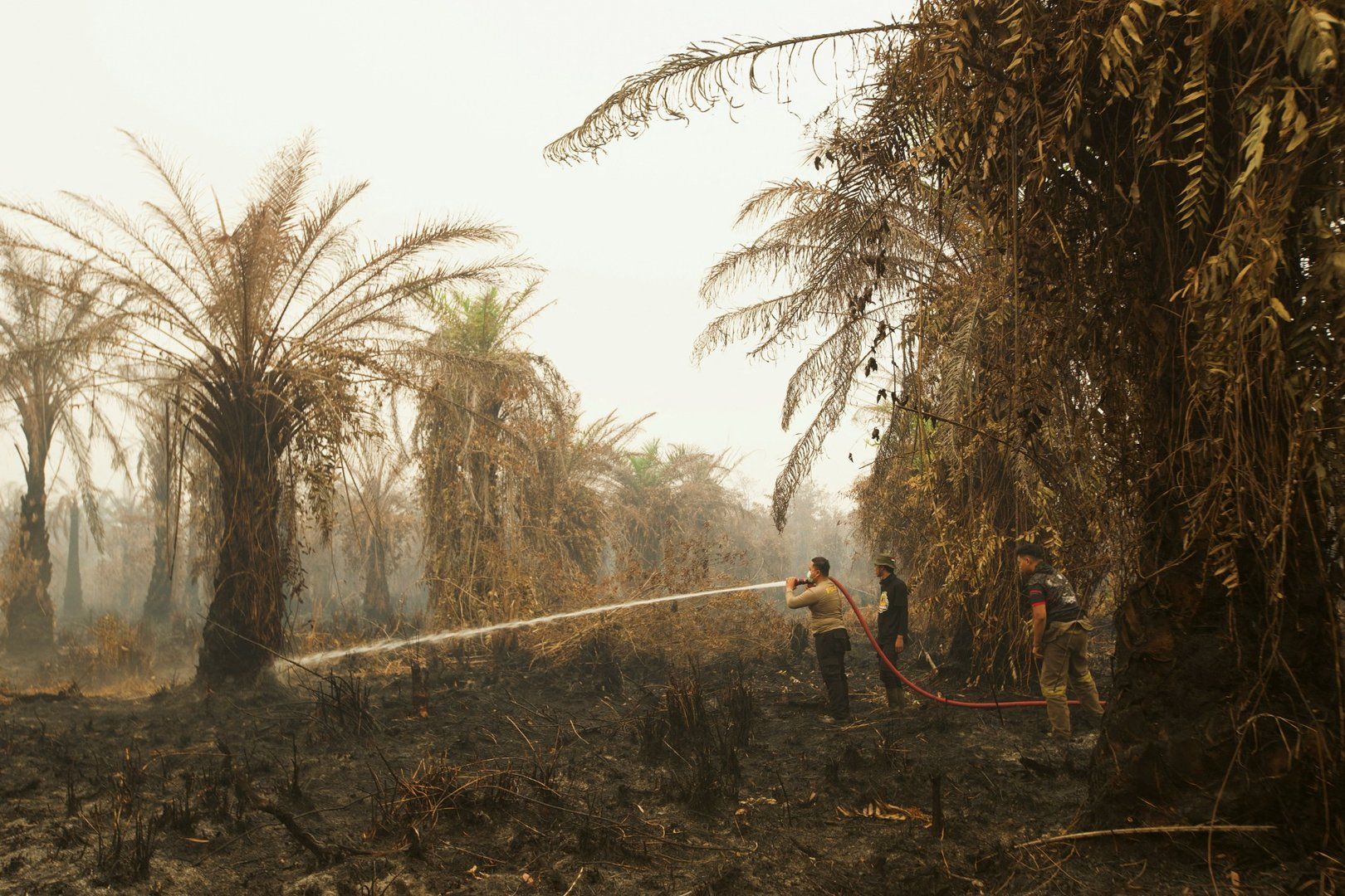 Indonesia faces worst forest fires and air pollution crisis in over a decade