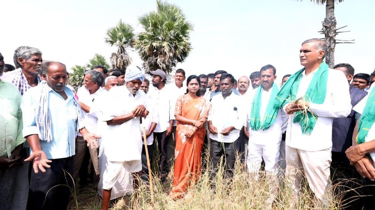 BRS Pushes State to Declare Drought Mandals, Roll Out Aid