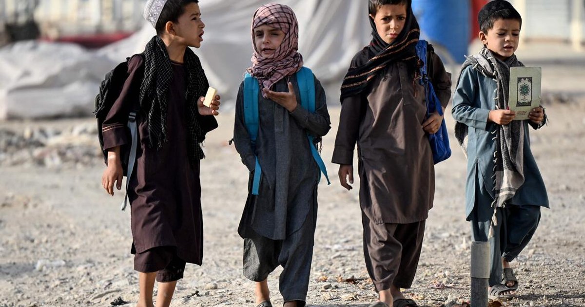 Nearly 20 million Afghans to face acute food shortages by 2027: UN