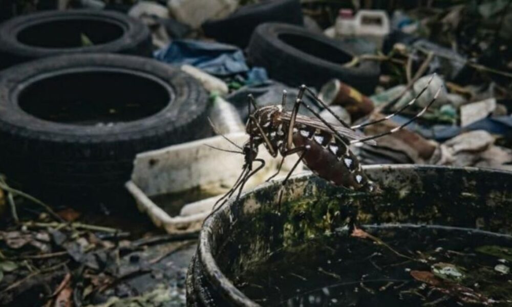 Island-wide dengue control initiative launched across seven provinces