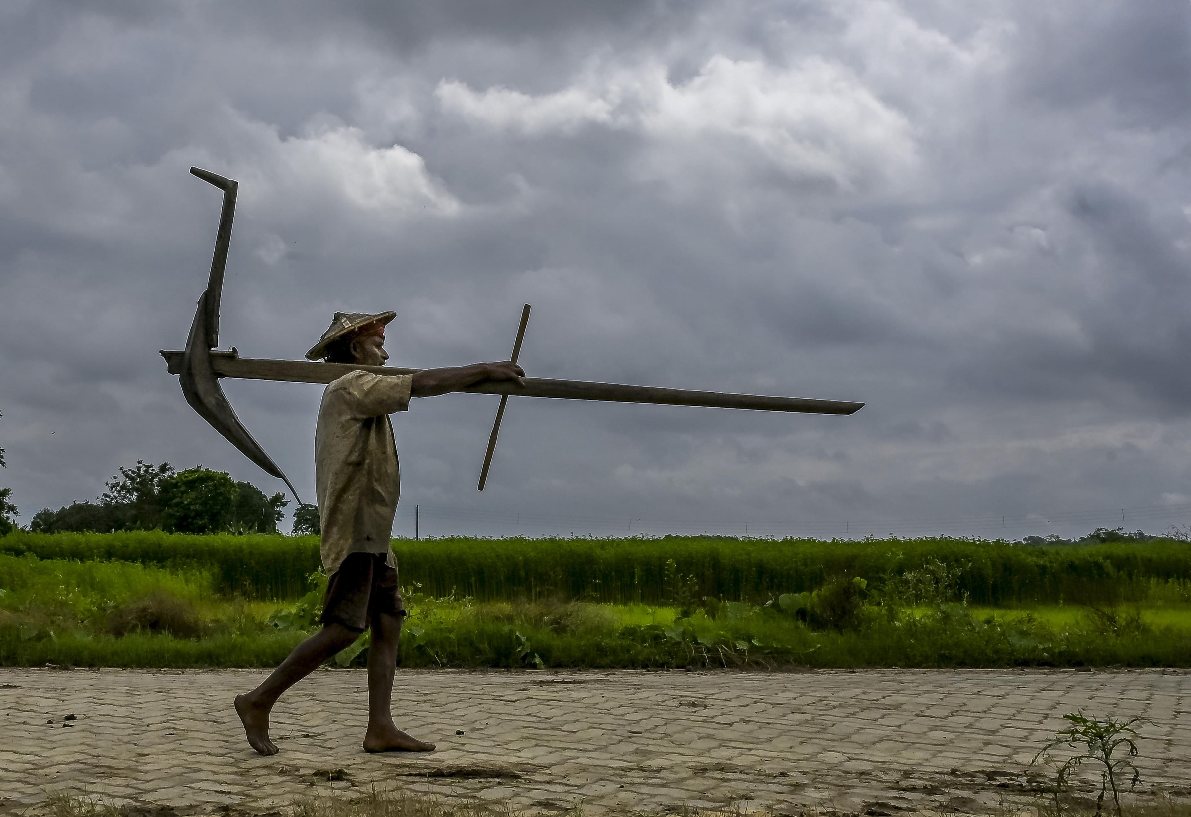 PM Modi releases 24th PM-KISAN instalment, crediting ₹3,000 crore to Odisha farmers