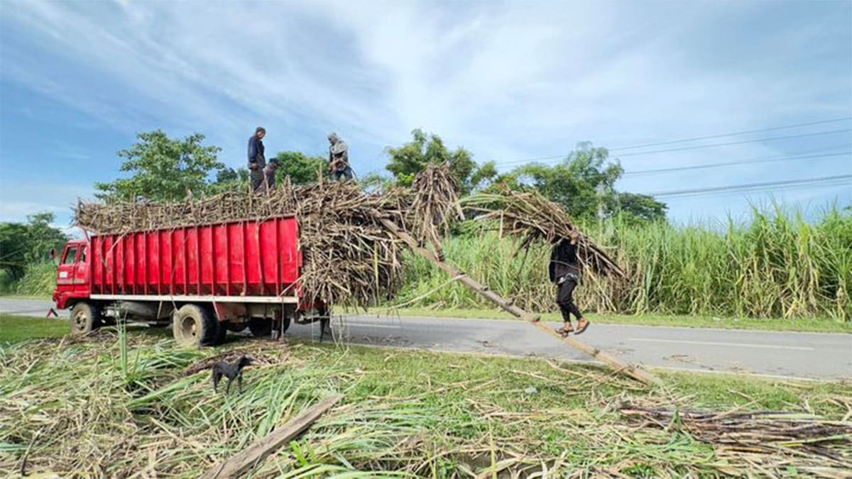 Negros Occidental governor urges traders to offer fair sugar prices