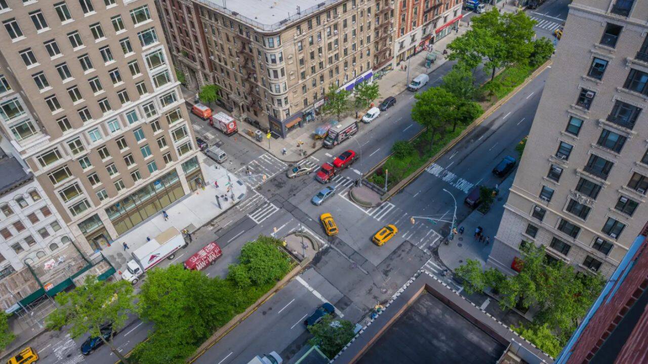 New York's Broadway transforms into five-mile wildlife corridor