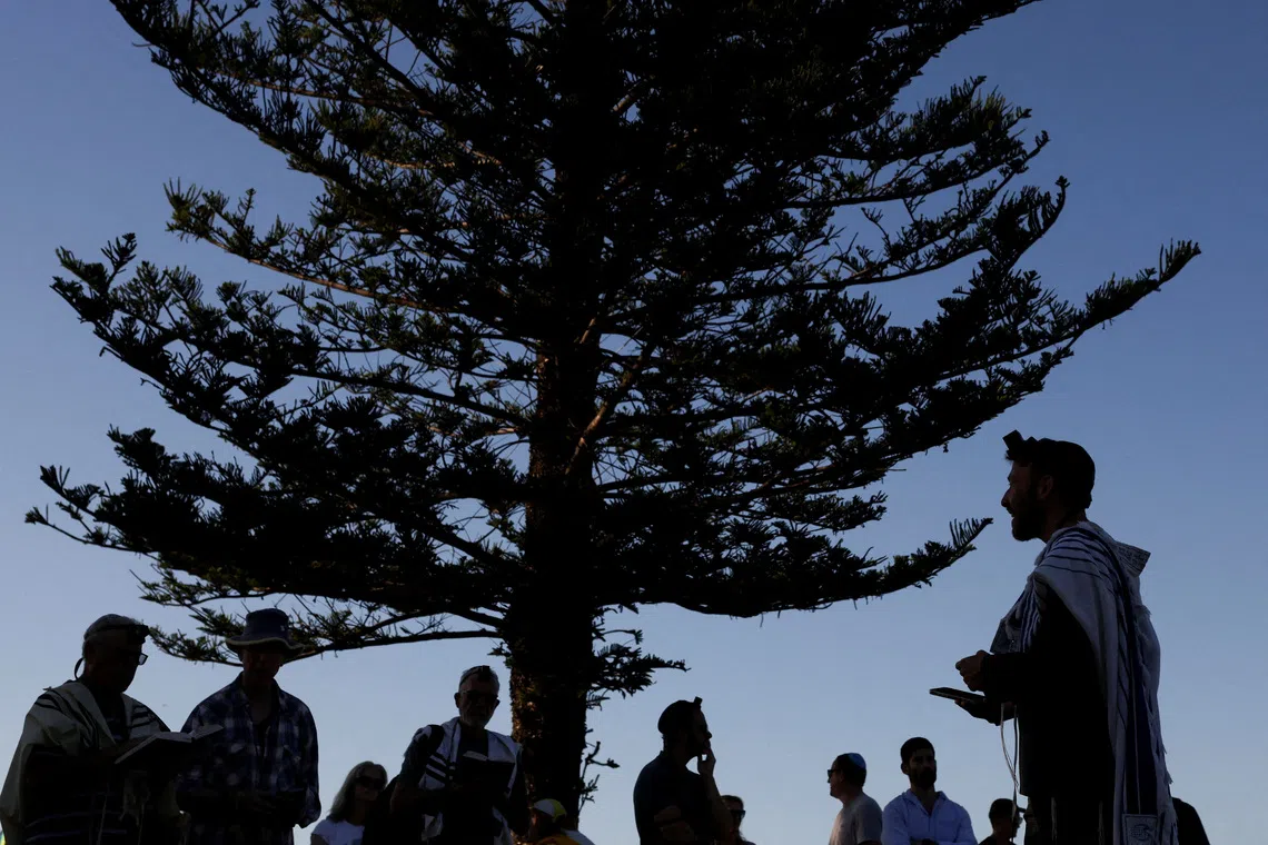 Australia's capital to launch gun buyback scheme following Bondi attack