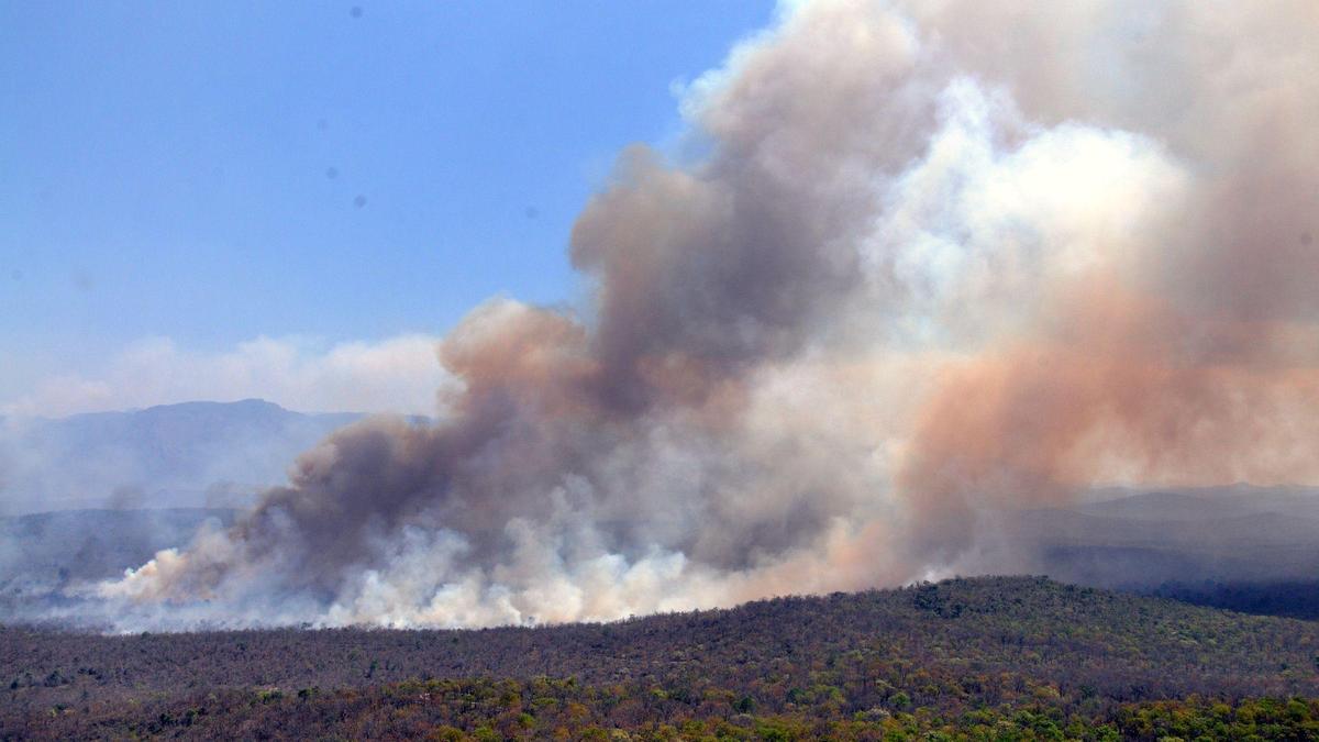 Fire activity surges in Eastern Ghats, Central India while declining in West