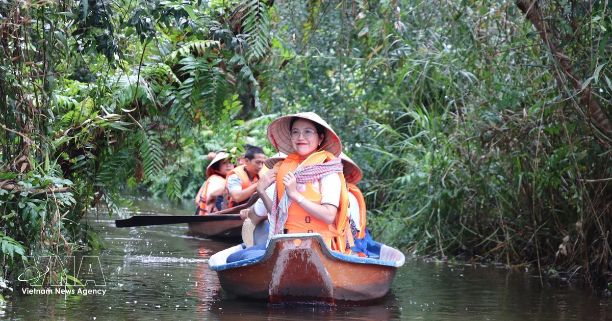 Dong Thap transforms traditional Mekong practices into eco-tourism draws