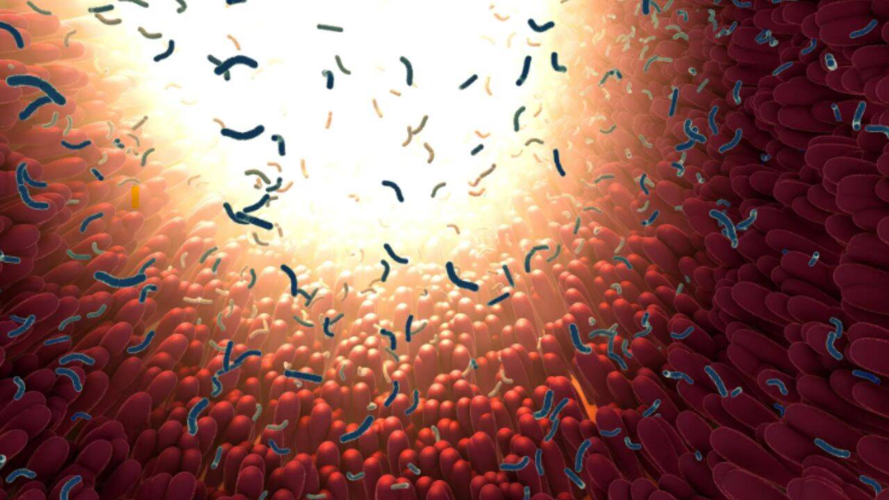 Hidden gut bacteria linked to disease may spread globally, study warns