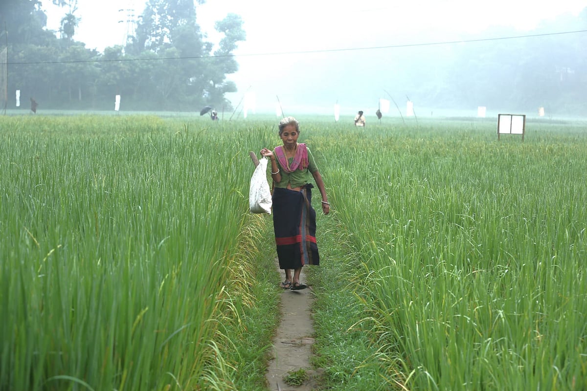 পাহাড়ি অঞ্চলে ভোরের কর্মব্যস্ততা: জীবনযাত্রার চিত্র