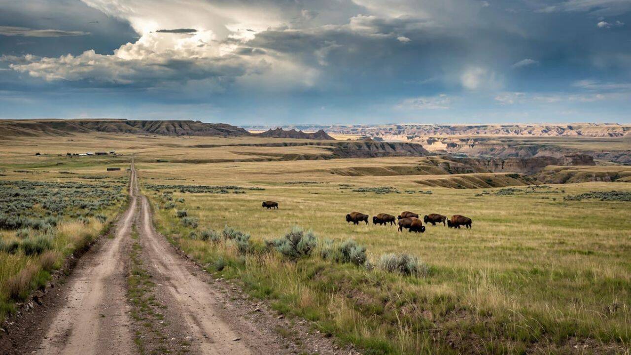 Conservation group acquires 70,000-acre Montana ranch in major land expansion