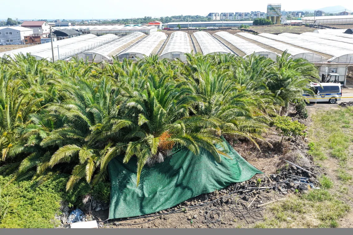 Jeju Island grapples with safety concerns as missing persons cases mount