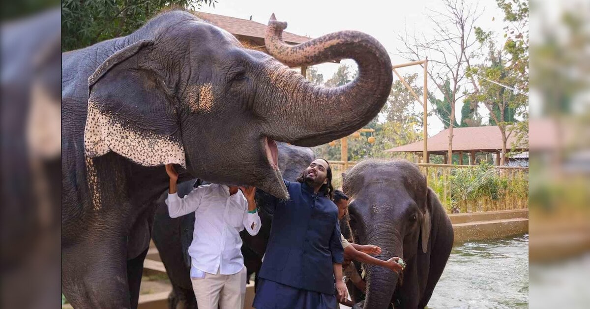 Reliance tightens animal acquisition rules at Vantara wildlife facility