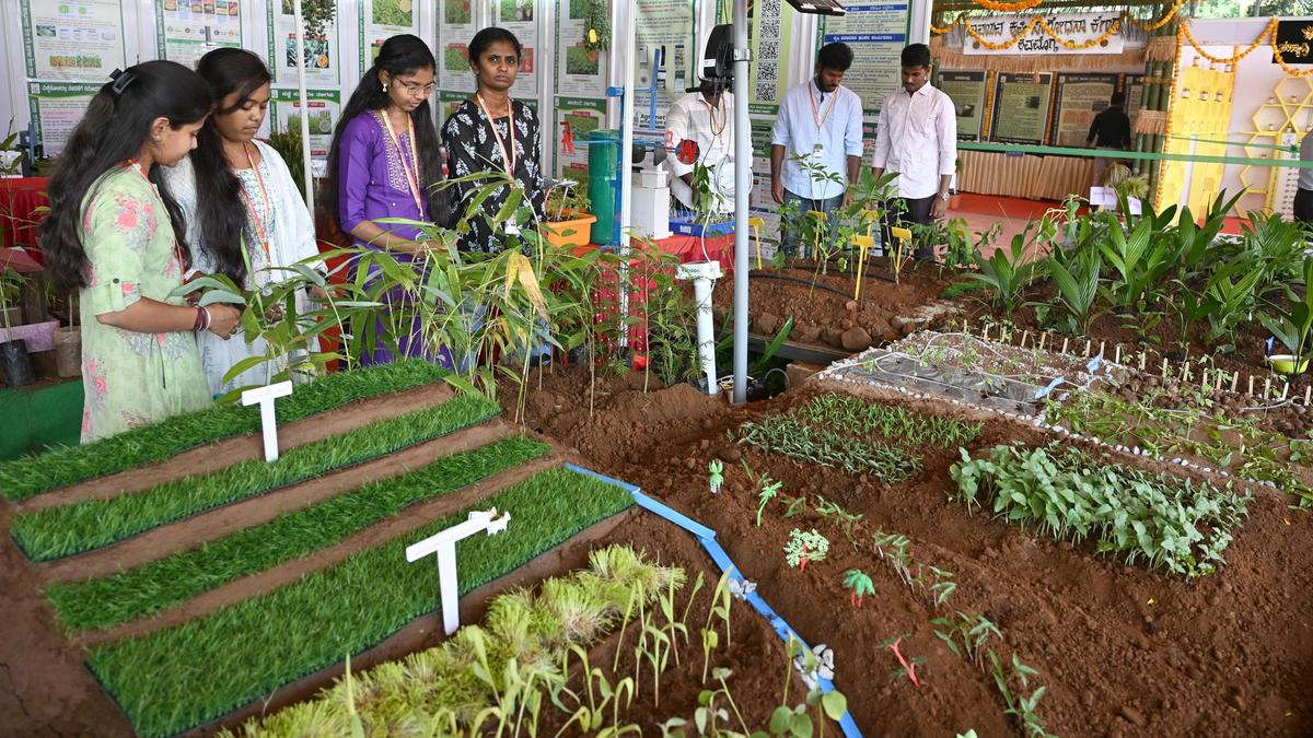 Agricultural fair highlights drought resilience strategies for farmers
