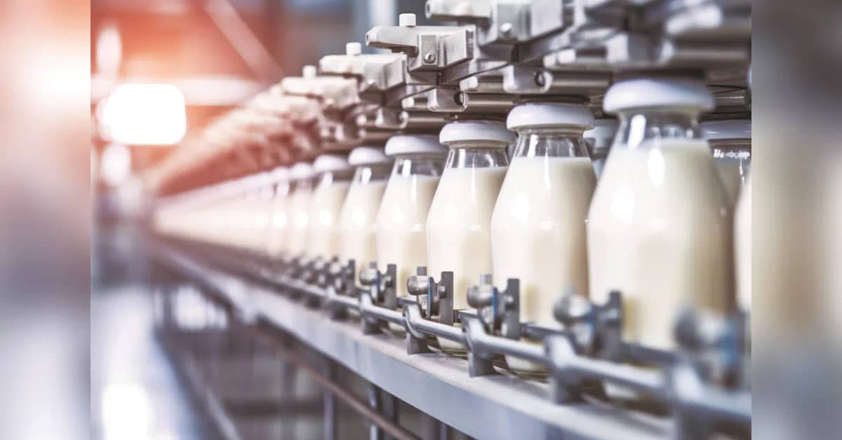Milk prices likely to remain firm despite approaching flush season