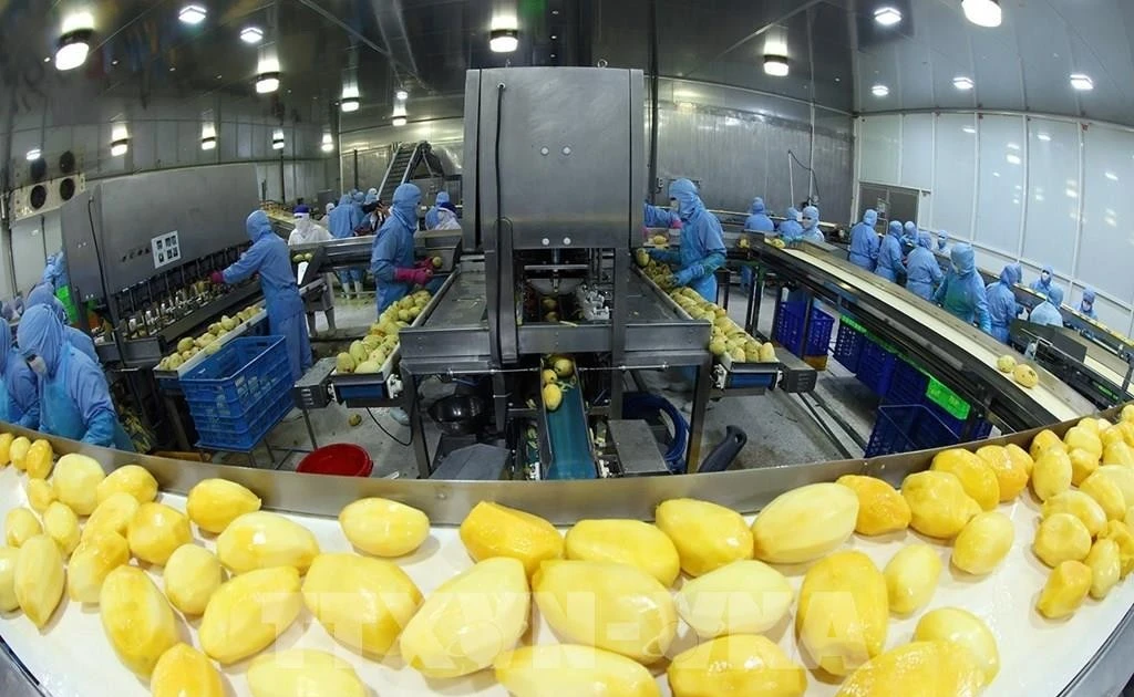 Vietnam's agro-forestry-fishery exports grow 7.8% despite global volatility