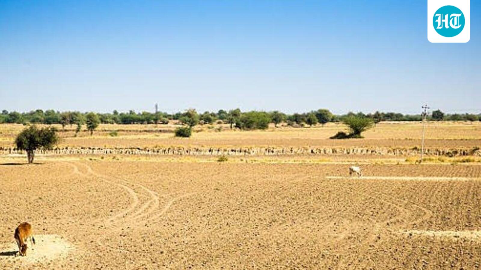 Rajasthan declares 80 tehsils across 14 districts as drought-affected