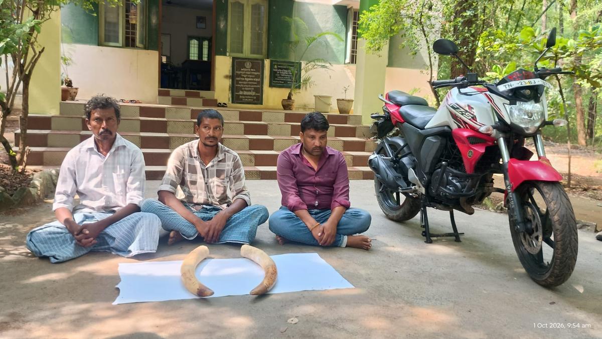 Wildlife smugglers arrested with elephant tusks in Tamil Nadu