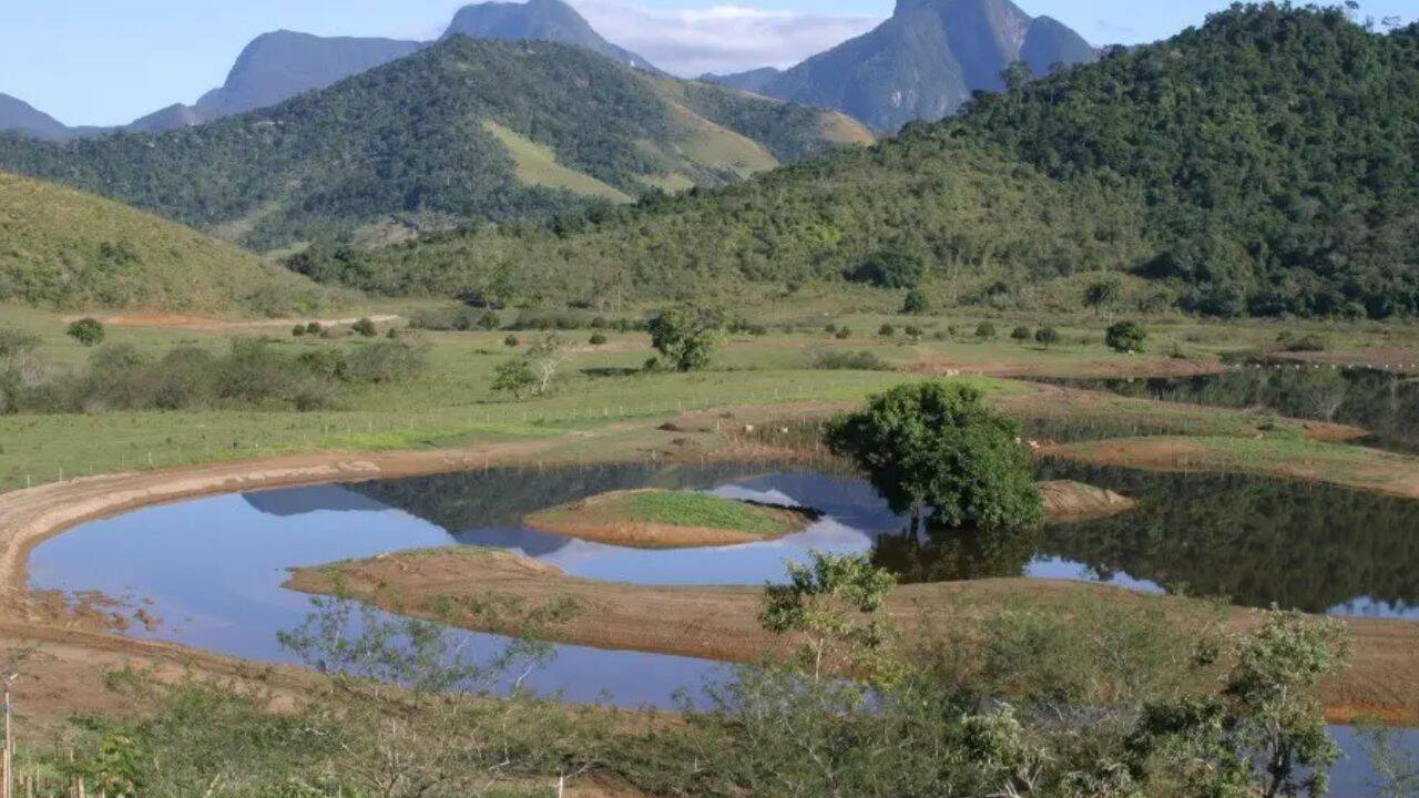 Brazil restores Atlantic Forest with massive tree-planting initiative