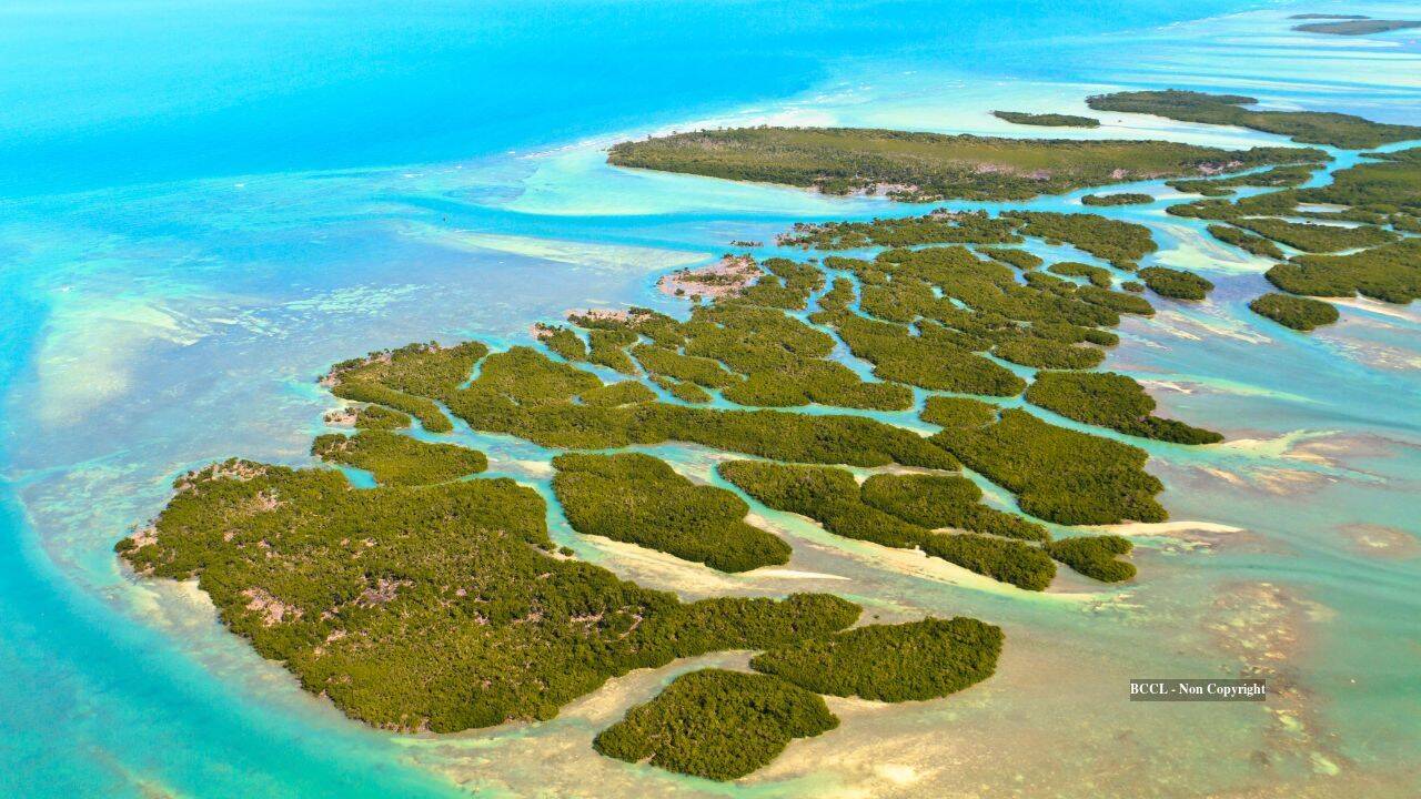 Florida Keys heirs end 70-year legal battle over development rights