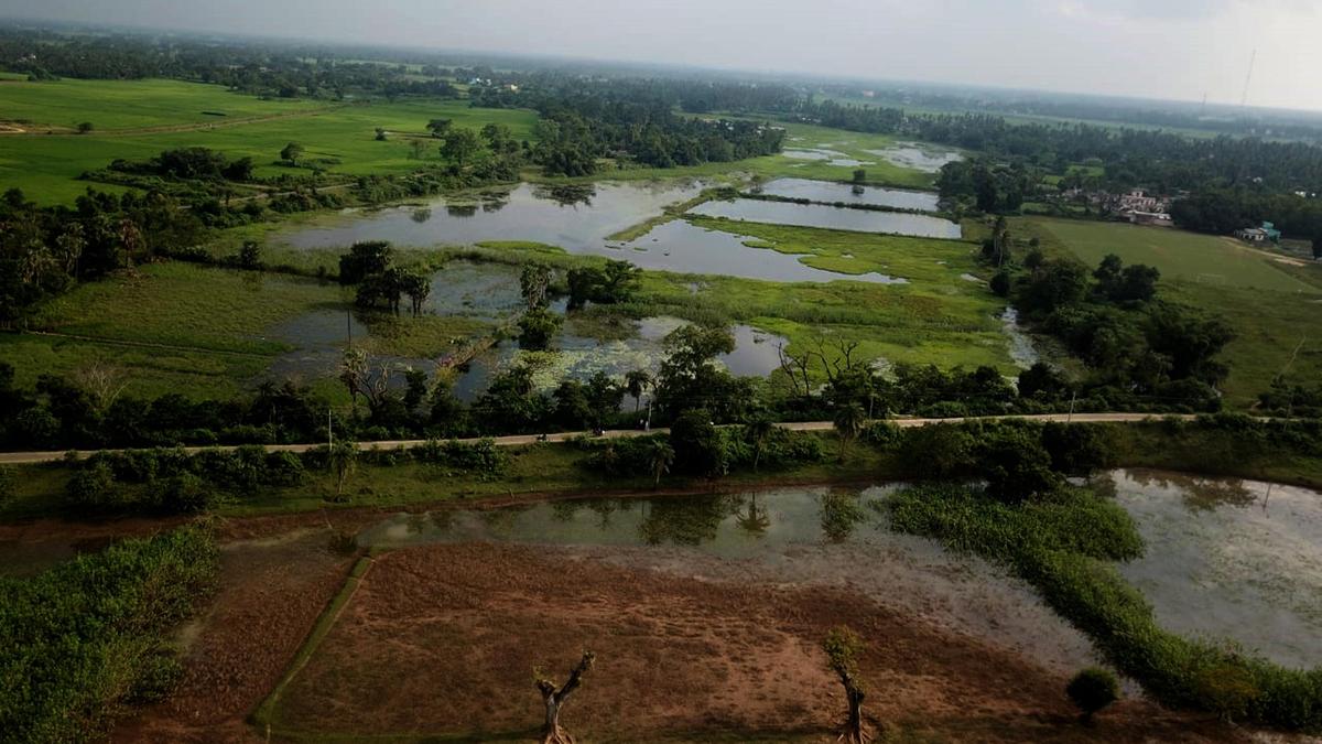 Over half of Odisha rural works lack photographic documentation: audit