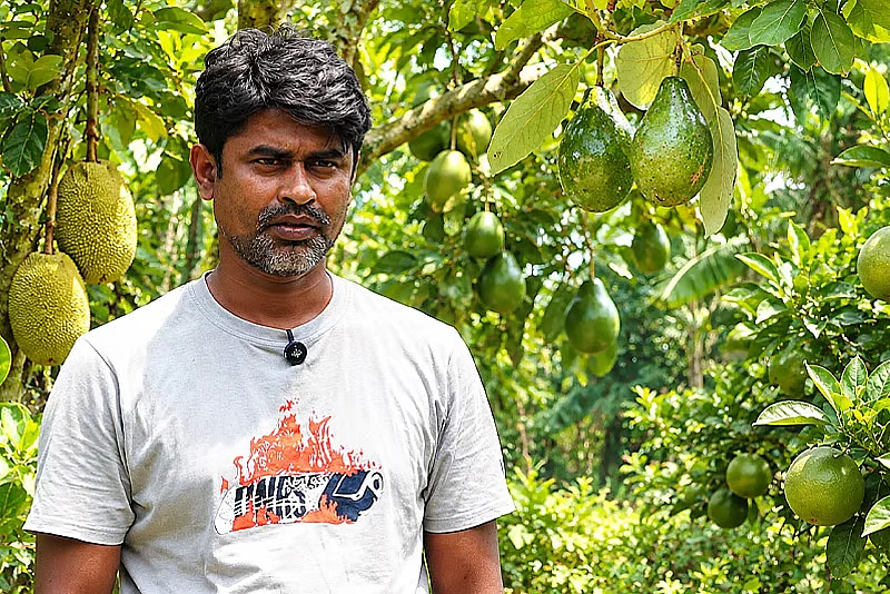 Chuadanga entrepreneur transforms farmland into profitable 120-bigha fruit orchard