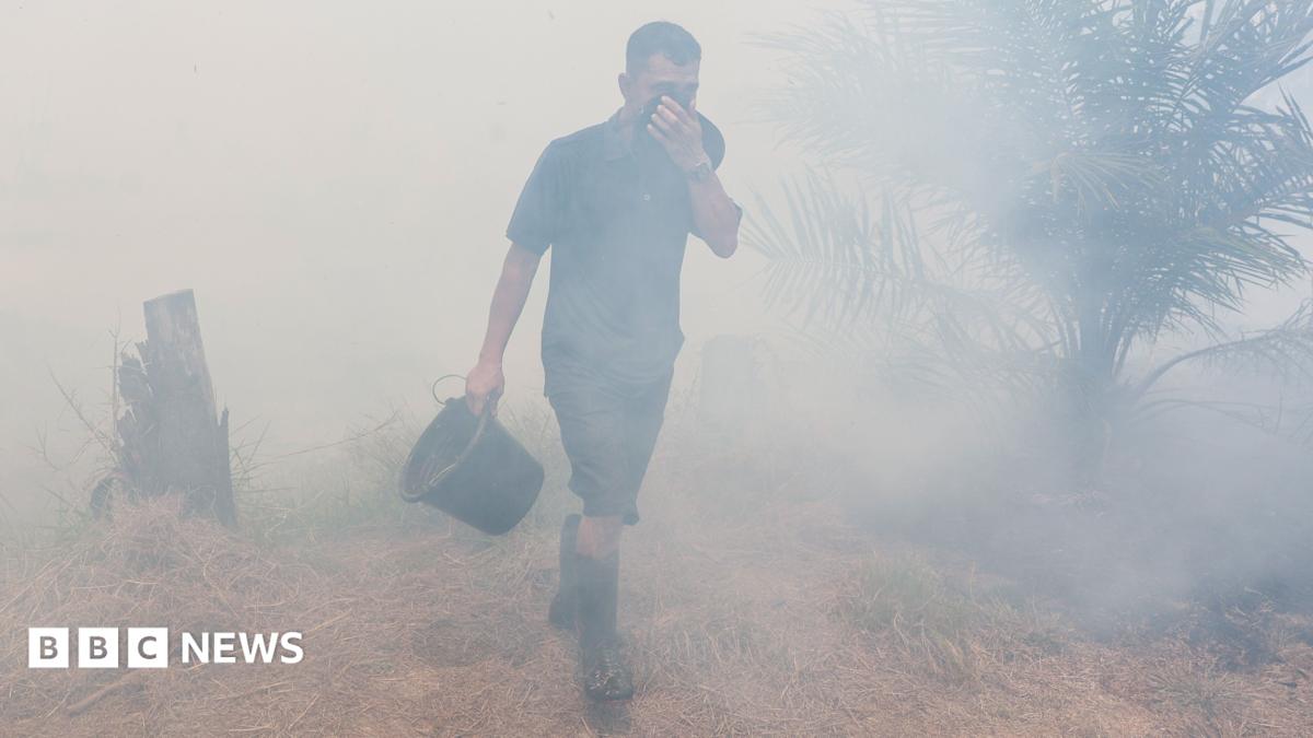 Indonesian respiratory illness surge linked to wildfire smog crisis