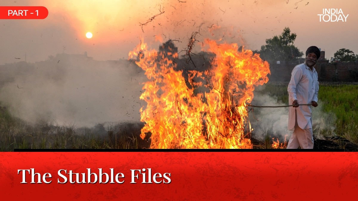 Stubble burning cycle traps India's farmers in annual October crisis