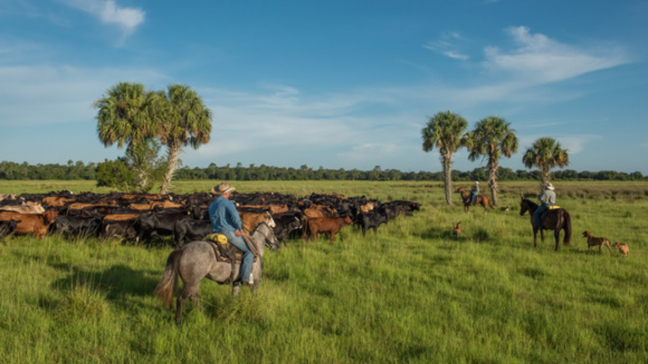 Florida secures $6.52m deal to protect ex-governor's historic ranch