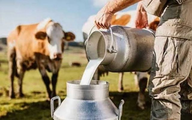 Sri Lanka Cabinet backs Brazil dairy modernization accord