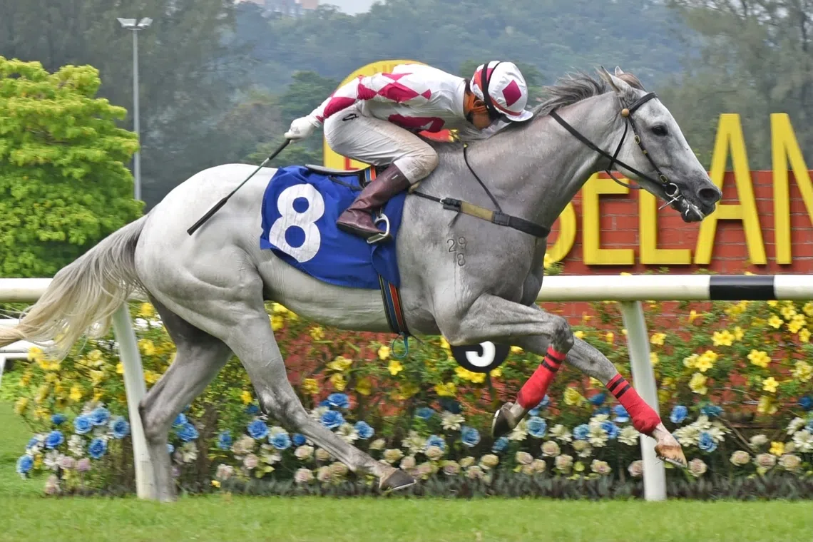 Cool Sixty-One maintains competitive edge despite age concerns