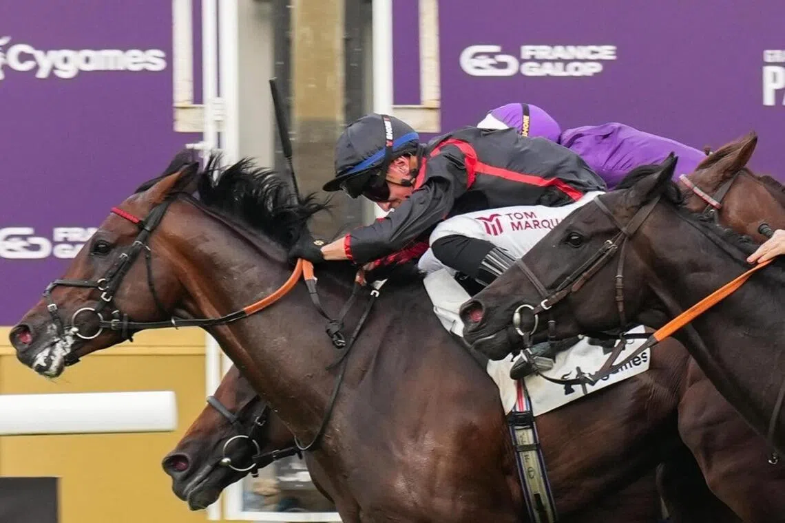 Haggas targets breakthrough Arc victory with Maltese Cross