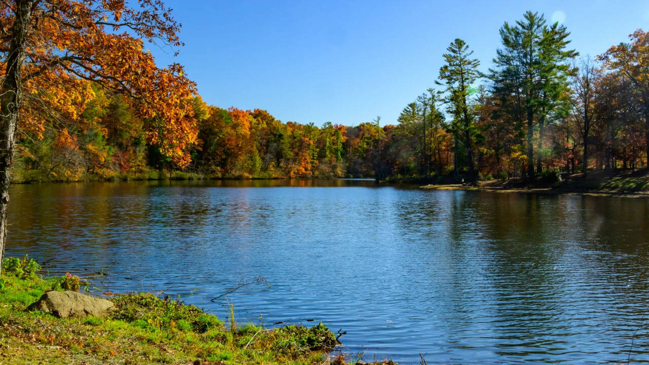 Kentucky secures permanent public access to vast elk conservation area
