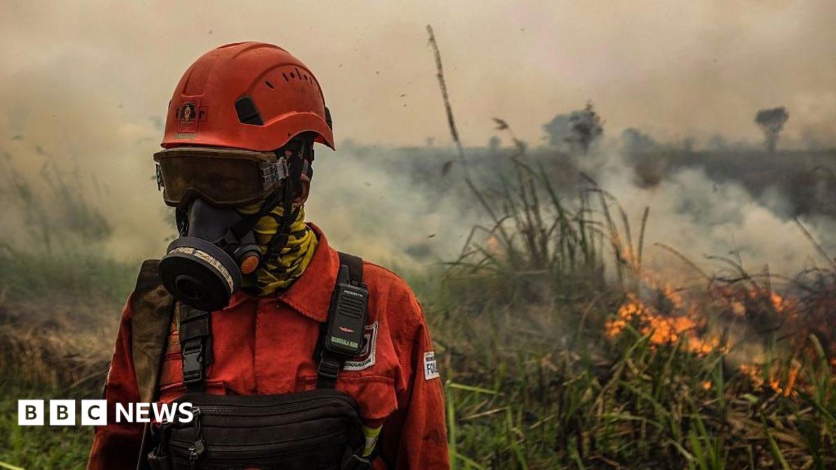 El Niño-driven wildfires blanket Southeast Asia in toxic haze