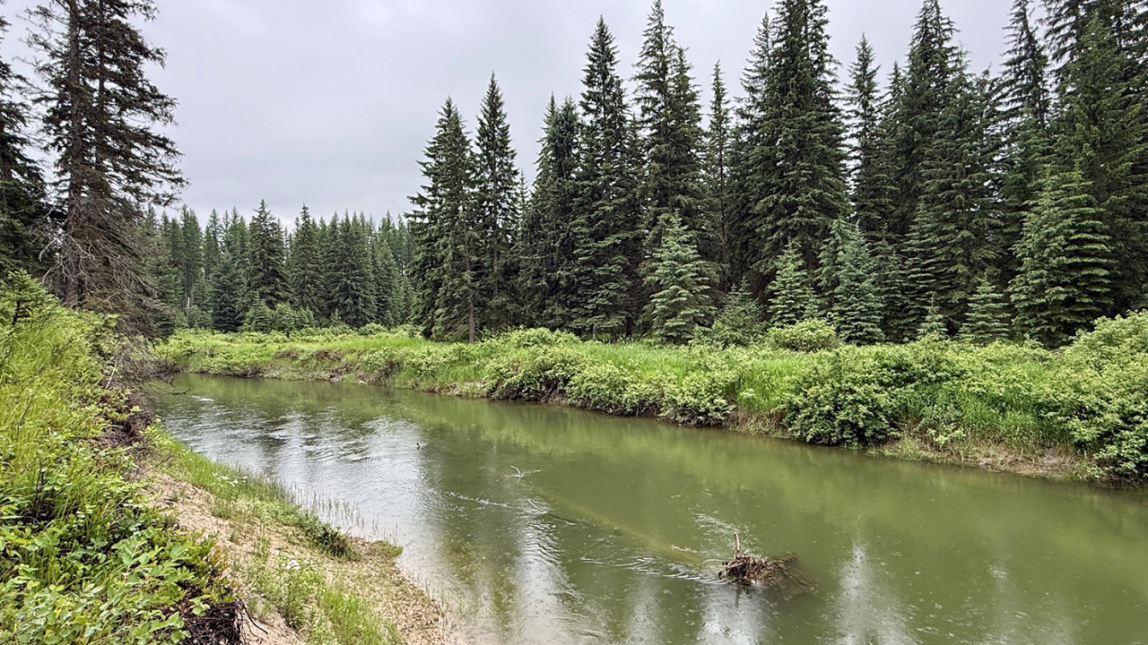 Montana landowners secure wildlife corridor through conservation easement